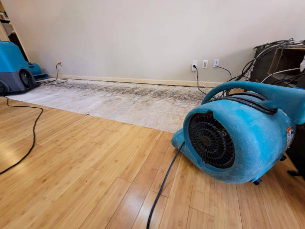 Reliable Basement Flood Cleanup contractor in Point, TX by Hirex Water Damage