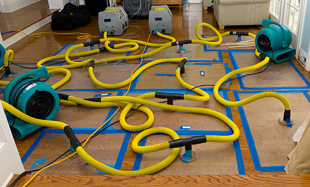 Professional Basement Flood Cleanup technician working in Point, TX